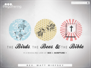 Birds_Bees_Bible-1024-MFSKY